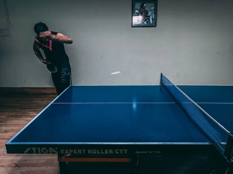Table Tennis Ping Pong Table