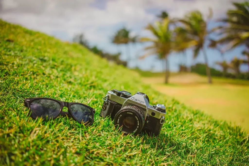 Canon Best Travel Lens